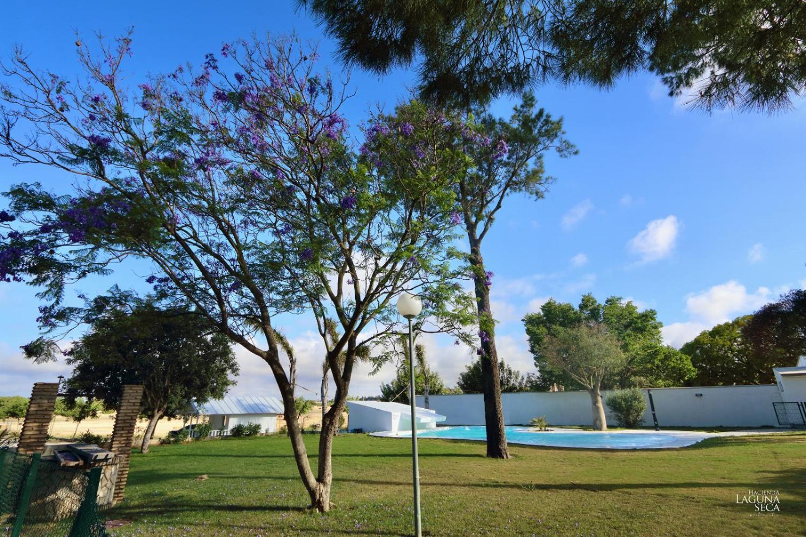 Hacienda Laguna Seca - Apart. Lavanda Chiclana de la Frontera Ngoại thất bức ảnh